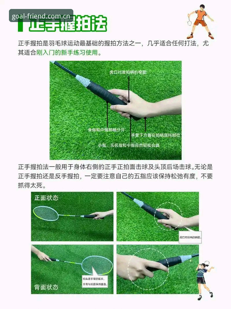 球友会官网入口实用指南：新手必备的下载安装与操作技巧